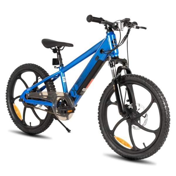20 Inch Electric Bicycle for Children and Teenagers from 7 Years with 250 W Brushless Motor, 15 Miles 15 MPH Electric Mountain Bike with Removable Battery, Various Colours