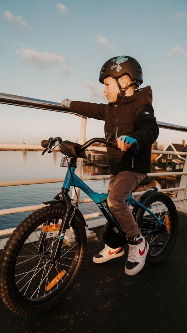 PROMETHEUS BICYCLES Kinderfahrrad 16 Zoll leicht sicher und ideal für Kinder ab 5 Jahren